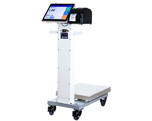 智能分揀電子秤：分揀 + 稱重，效率直接翻倍？